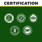 Pure Ayurvedic Breast Massage Oil for Women | Zero Side Effects (100ml) ⭐Bestseller